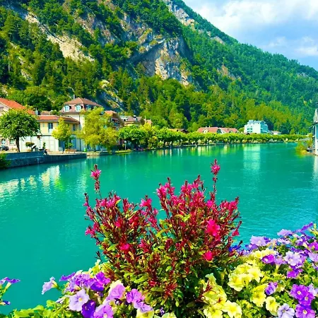 Oldtown - Amazing Views *