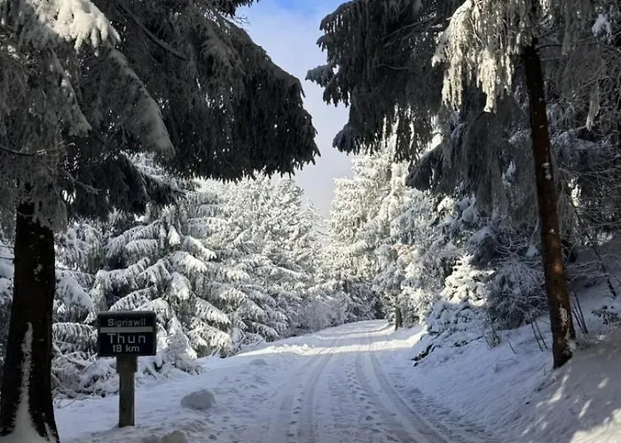 Oldtown - Amazing Views *